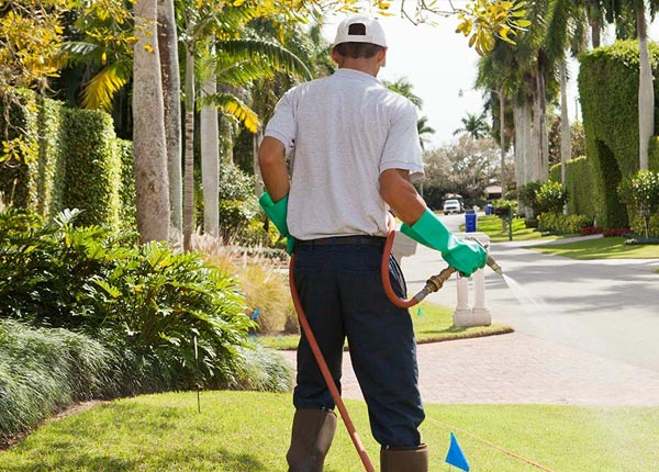 About Isleta NM Pest Control